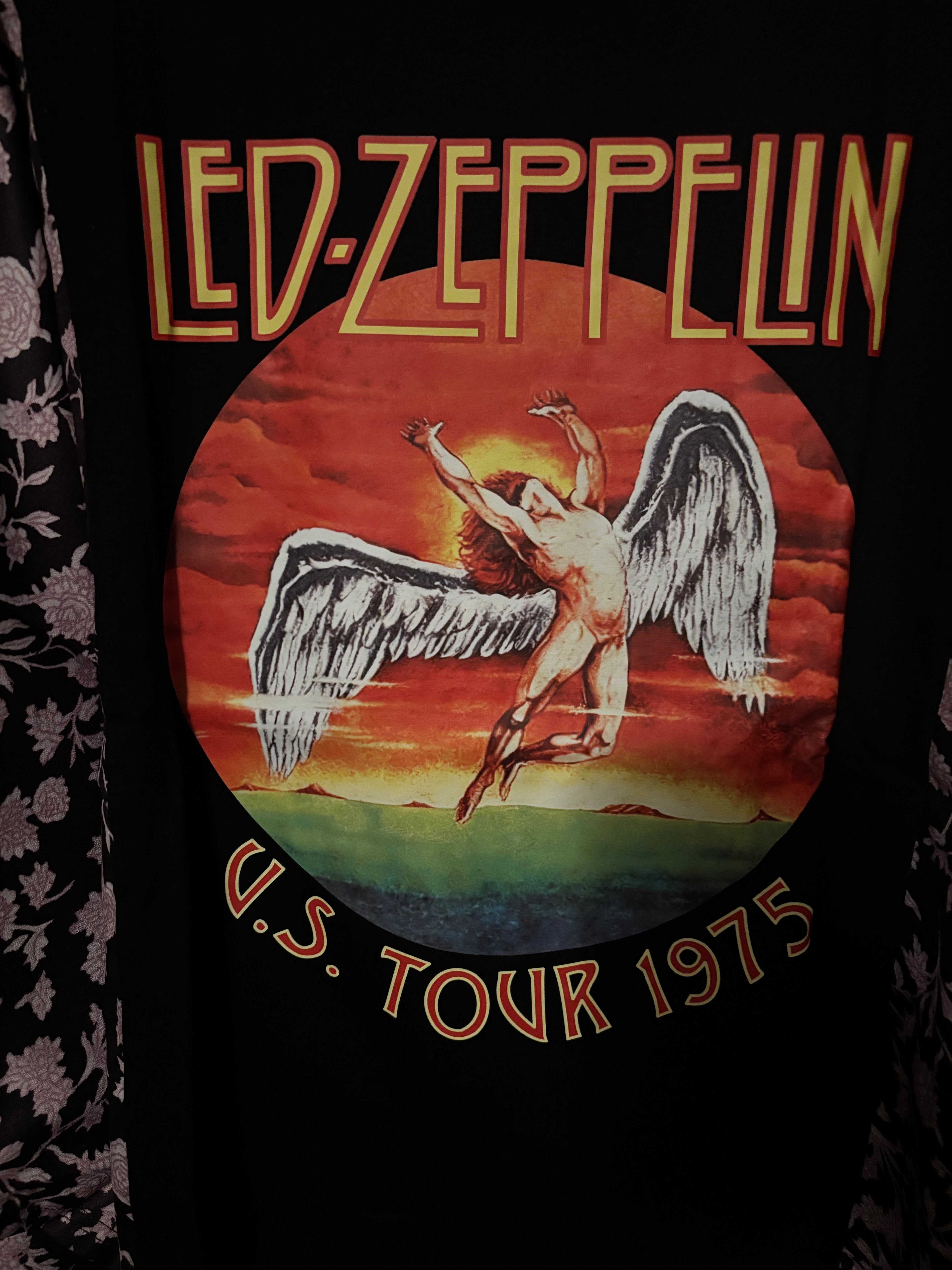 Led Zeppelin Batwing Sleeve Top