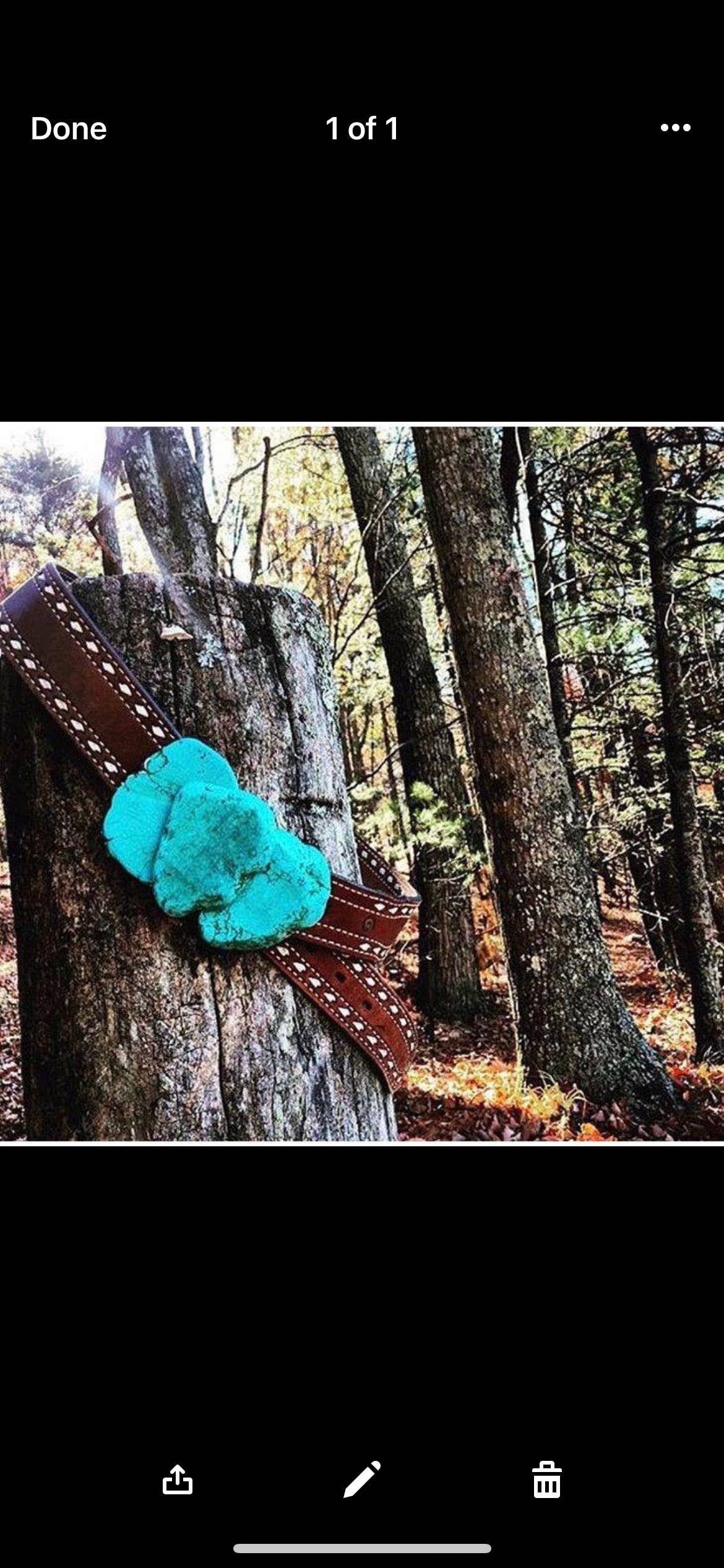 Turquoise Ridge Buckle